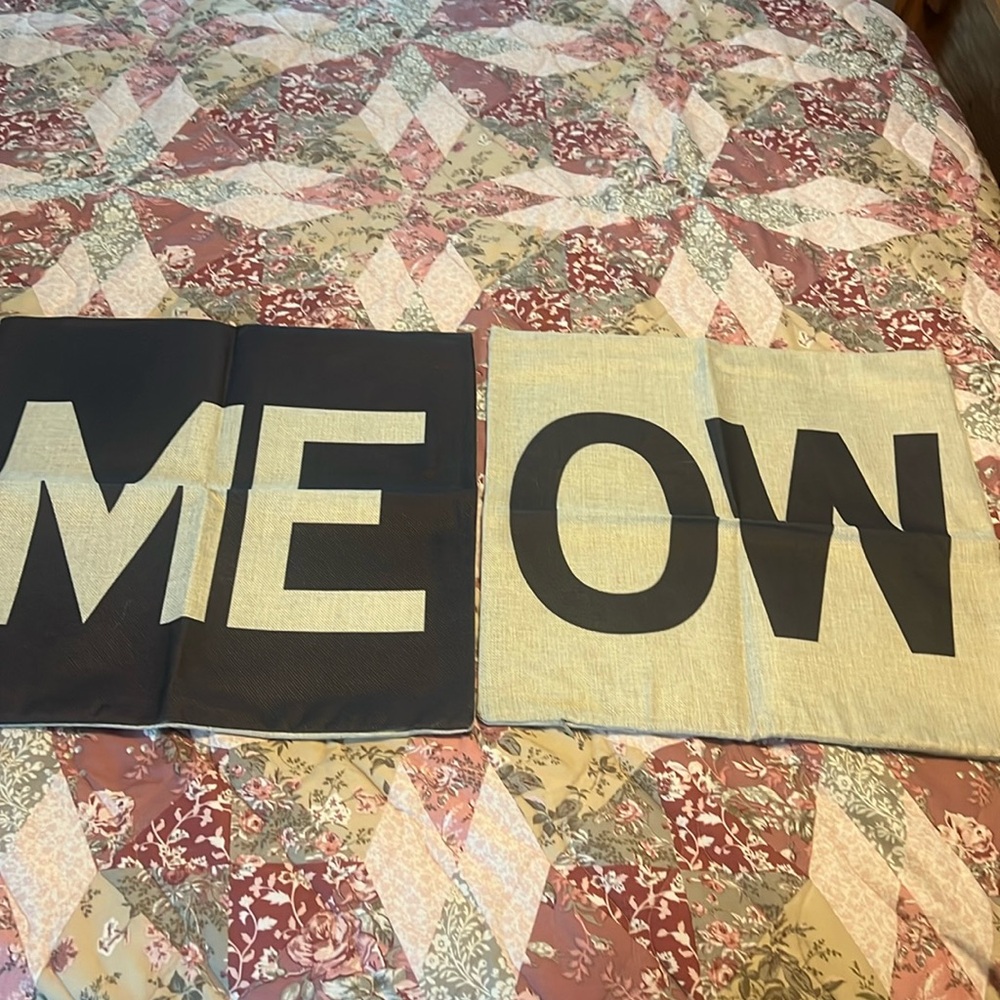 Meow Throw Pillow Cases